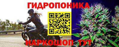 сатива Мариинск