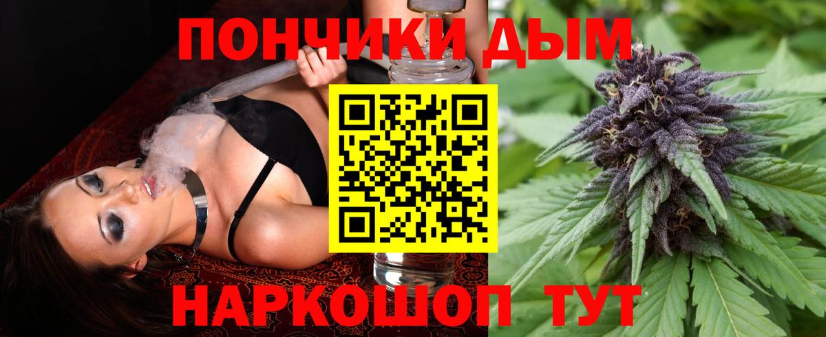 Бошки марихуана конопля Иркутск